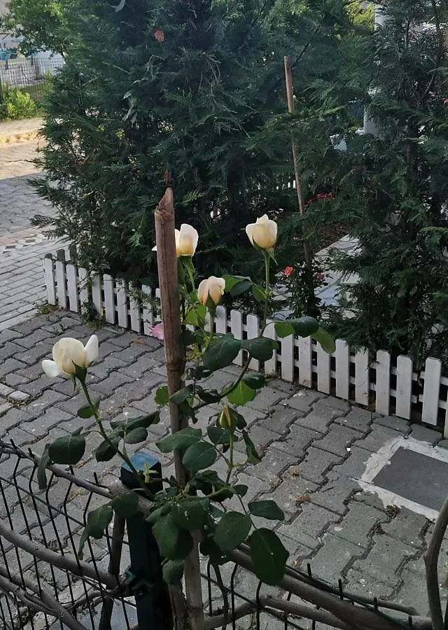 Cosy Home Lalez Durres Plazhi San Pietro 0*,